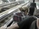 Demi Lovato No Aeroporto - Brasil 18.04.2012 (714)