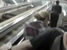 Demi Lovato No Aeroporto - Brasil 18.04.2012 (717)