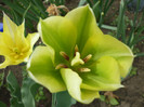 P1000407