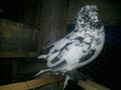 Photo0125