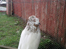 Photo0045