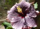 P1120710