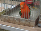 S6303200