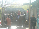DSC02496