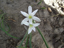 DSCF6897