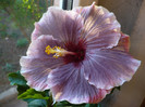 P1120730