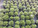 P23-04-12_18.59[6]