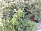 P23-04-12_19.01