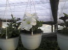 P23-04-12_19.01[2]