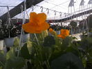 P23-04-12_19.03[1]