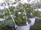 P23-04-12_19.03[4]
