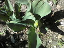P23-04-12_11.38[1]