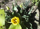P23-04-12_11.38[3]