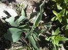 P23-04-12_11.39