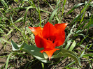P1020506