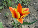 P1020528