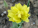 P1020532