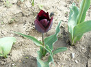 P1020544
