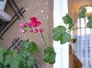 P1020568