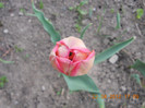 DSCN0660