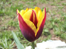 100_8419