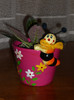 gloxi cyclam de 8 martie 2012