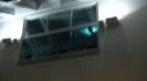 Demi  -  Sheraton Barra (46)