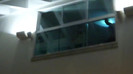 Demi  -  Sheraton Barra (56)