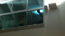 Demi  -  Sheraton Barra (75)