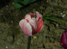 013