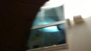 Demi  -  Sheraton Barra (546)