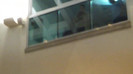 Demi  -  Sheraton Barra (621)