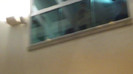 Demi  -  Sheraton Barra (622)
