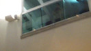 Demi  -  Sheraton Barra (625)