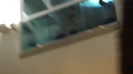 Demi  -  Sheraton Barra (634)