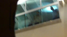 Demi  -  Sheraton Barra (705)