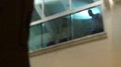 Demi  -  Sheraton Barra (707)