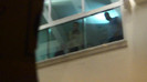 Demi  -  Sheraton Barra (708)