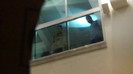 Demi  -  Sheraton Barra (727)