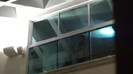 Demi  -  Sheraton Barra (777)