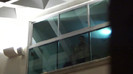 Demi  -  Sheraton Barra (778)
