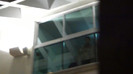 Demi  -  Sheraton Barra (785)
