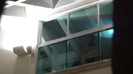 Demi  -  Sheraton Barra (789)