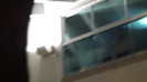 Demi  -  Sheraton Barra (797)