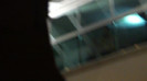 Demi  -  Sheraton Barra (807)