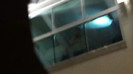 Demi  -  Sheraton Barra (810)