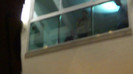 Demi  -  Sheraton Barra (847)