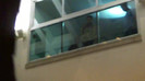 Demi  -  Sheraton Barra (853)