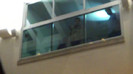 Demi  -  Sheraton Barra (860)