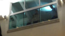 Demi  -  Sheraton Barra (864)